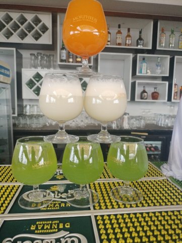 M Pro 宫殿酒店迈索尔 - 距离迈索尔宫殿12分钟-官方