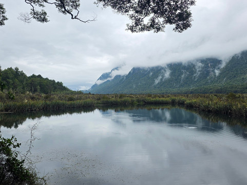 Stray-奥克兰中心地区必去景点