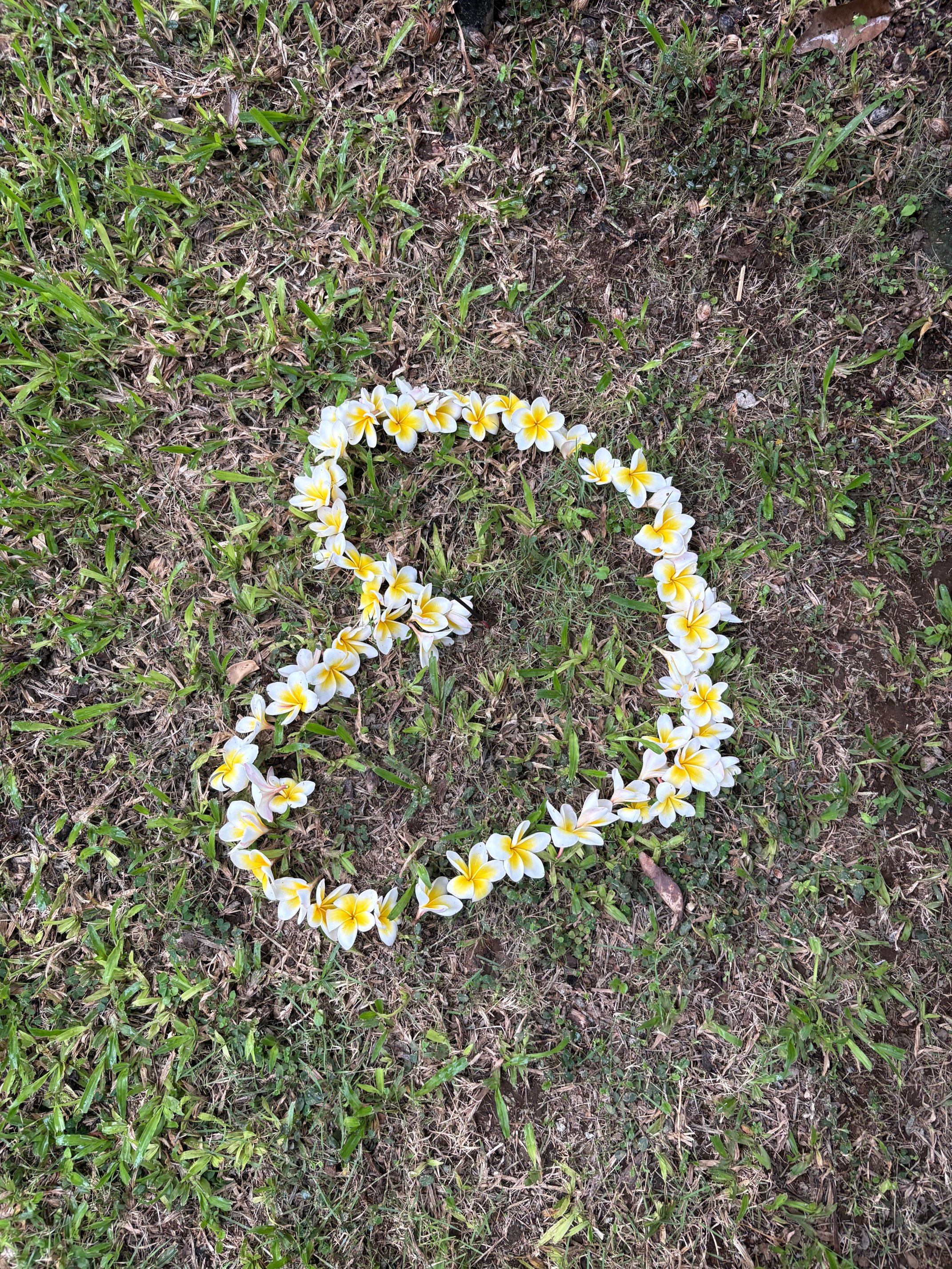 巴厘禅度假村-官方