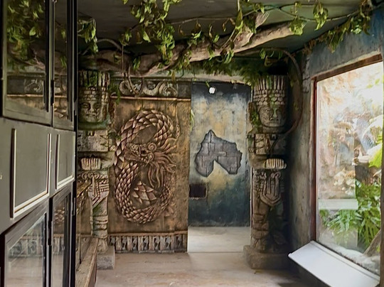 Amazonia: The Jungle Experience Tour-威廉斯塔德必去景点