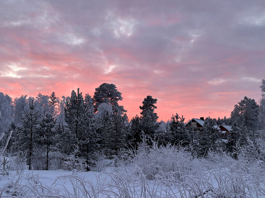 Openlappland-Amsele必去景点