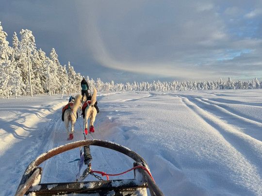 哈士奇雪橇之旅-罗瓦涅米必去景点