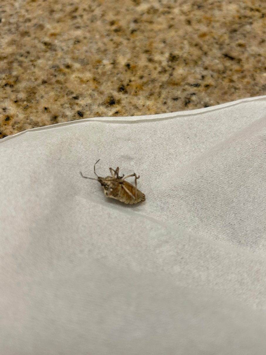 里士满西北Residence Inn 酒店-客卧