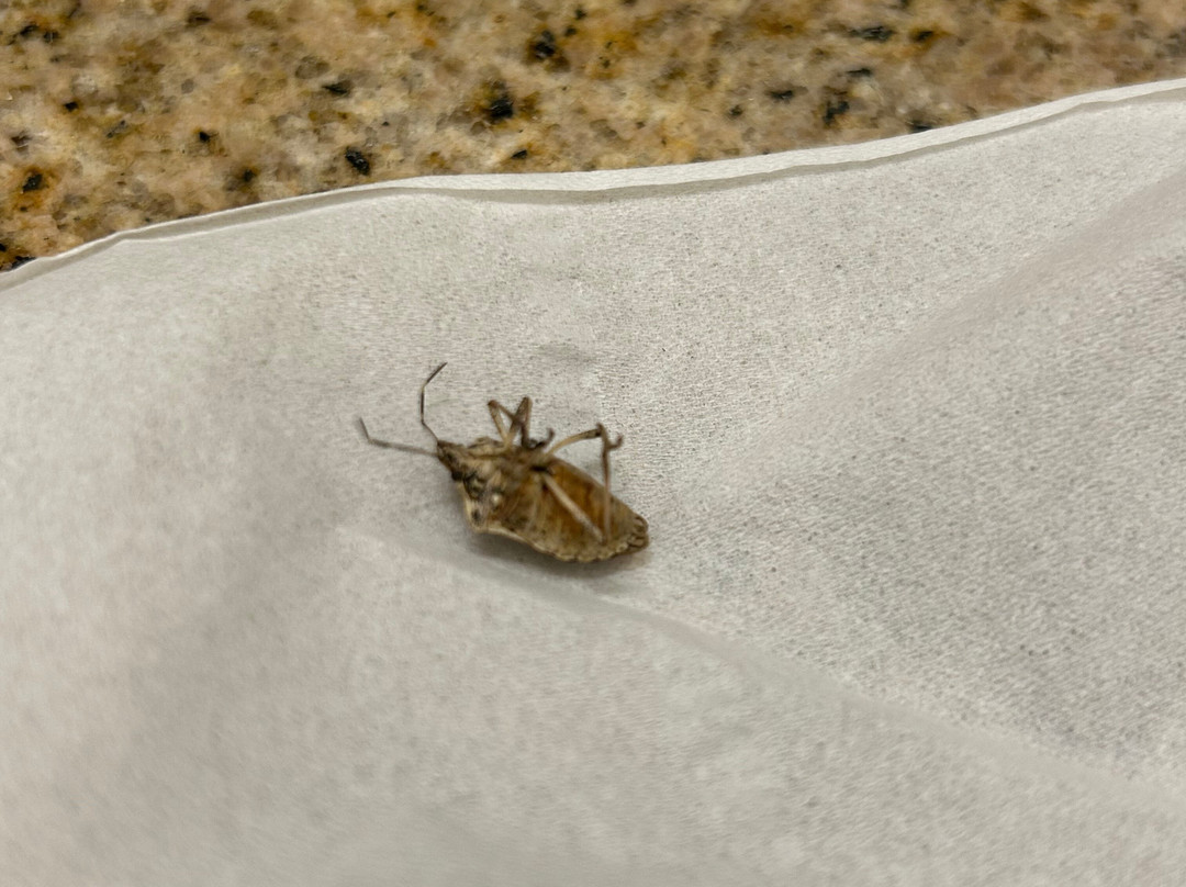 里士满西北Residence Inn 酒店主图