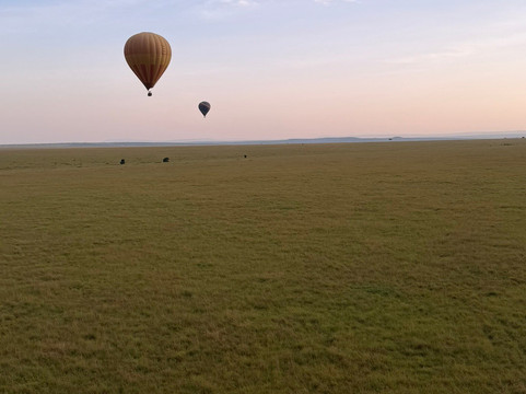 Join African  Savanah-Karen必去景点