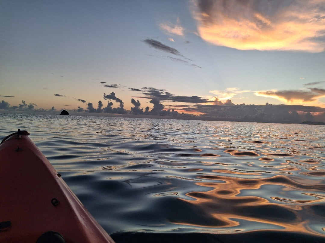 Palm Cove Watersports-棕榈湾必去景点
