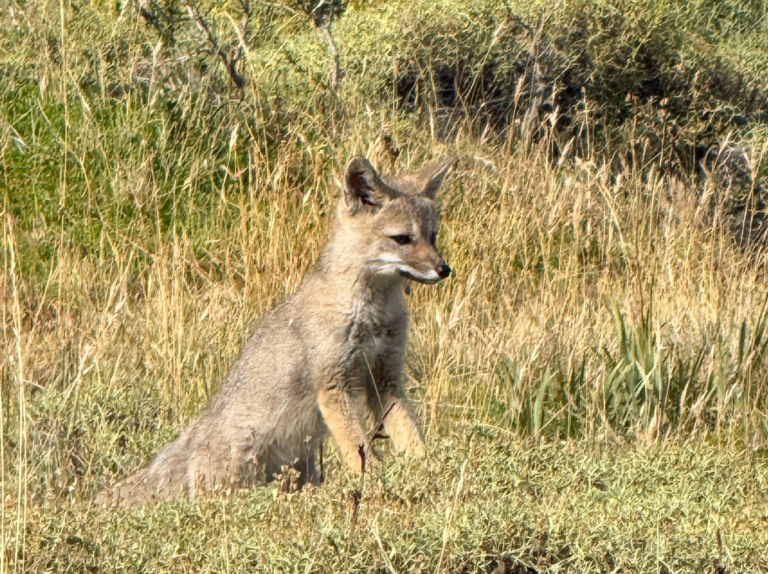 Patagonia Adventure Natales-纳塔莱斯港必去景点