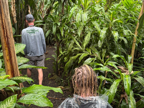 Alex On The Beach Tours-萨迪纳尔必去景点