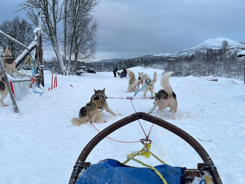 Senja Husky Adventure-Senja必去景点