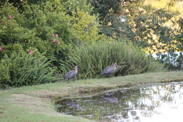 祖尔滕矿区山林小屋-官方