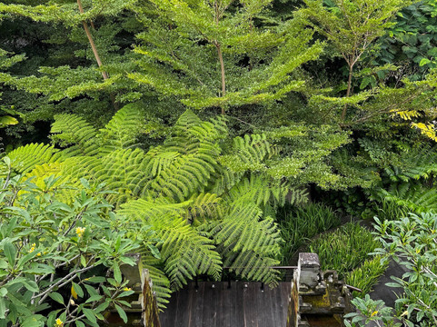 OmTara Spa By Clarins-乌布必去景点