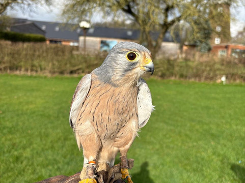 Rutland Outdoor Pursuits-Cottesmore必去景点