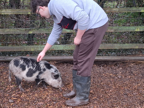 Kew Little Pigs Farm Ltd-Amersham必去景点