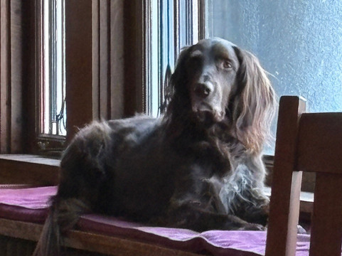 斯图尔特旅馆主图