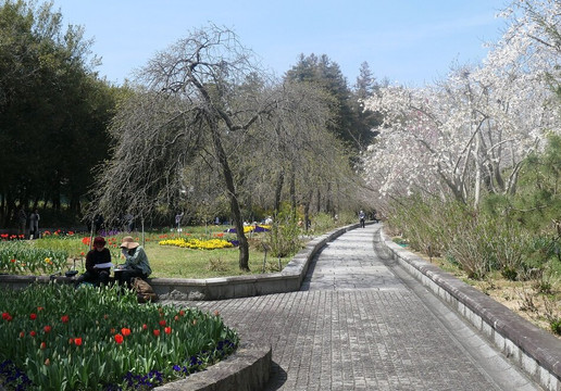 Handayama Botany-冈山市必去景点