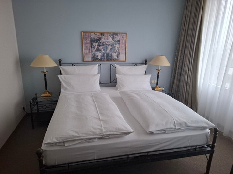 德雷斯顿艾尔贝弗伦萨酒店主图