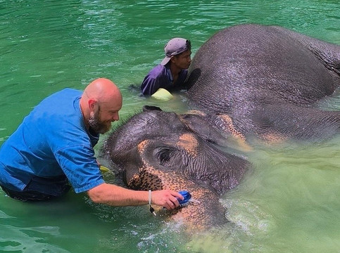 Trunk & Soul Elephant Home