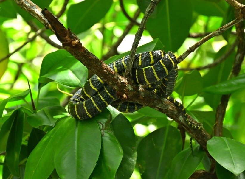 Corazon Travel and Tours-公主港必去景点