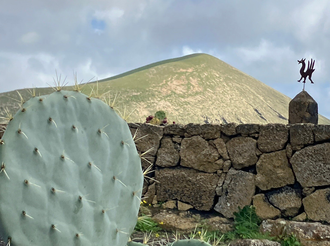 Wine Tours Lanzarote-卡门港必去景点