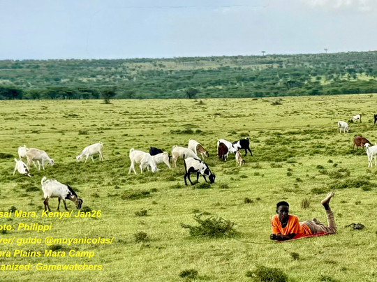 Gamewatchers Safaris-内罗毕必去景点