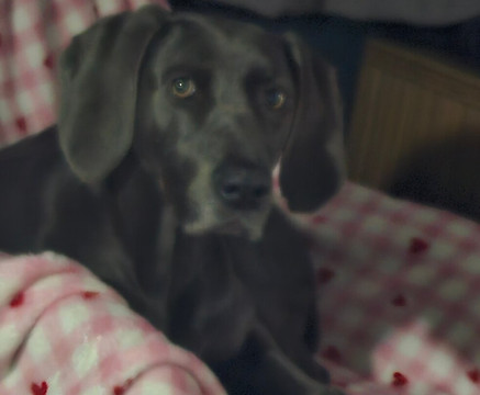 约克郡西公园旅屋酒店主图