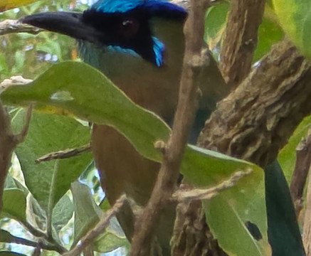 Oropopo Experience-圣何塞必去景点