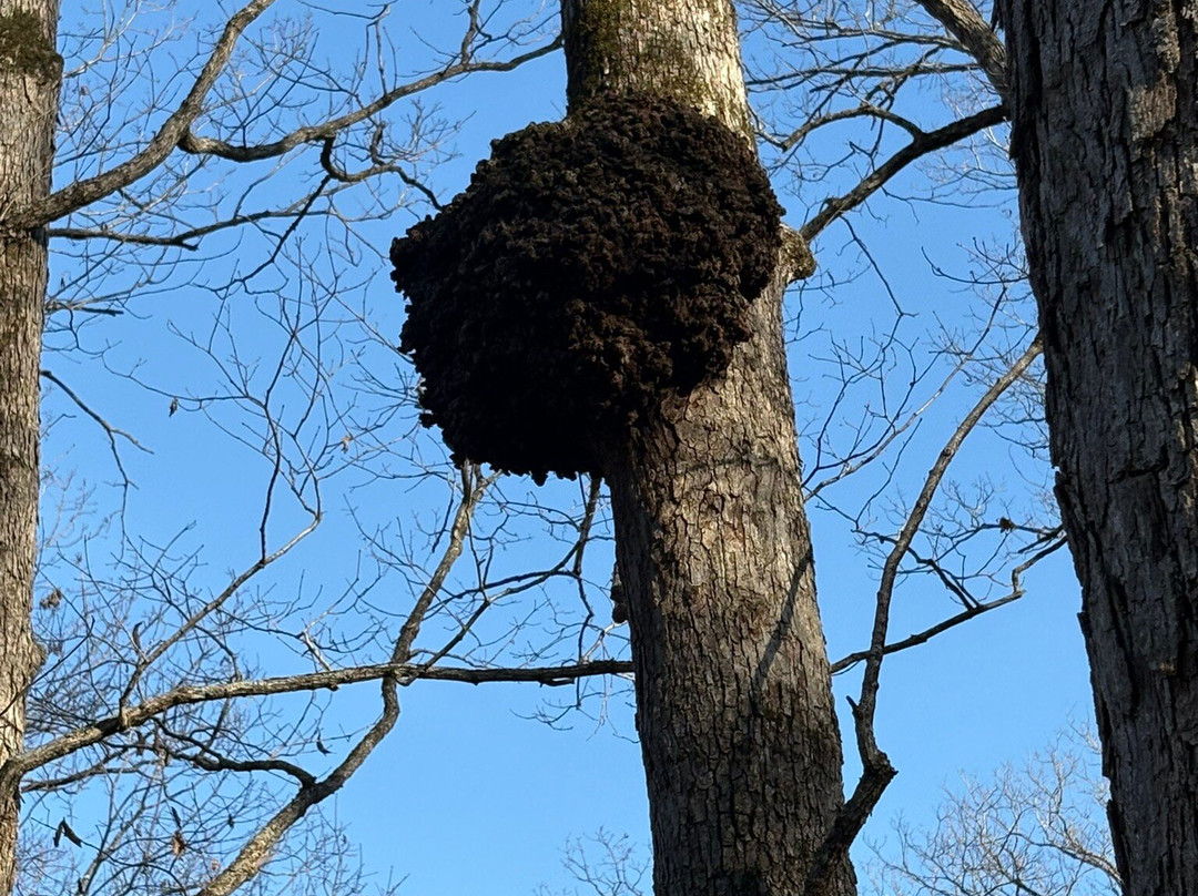 Lake of the Ozarks State Park-Kaiser必去景点