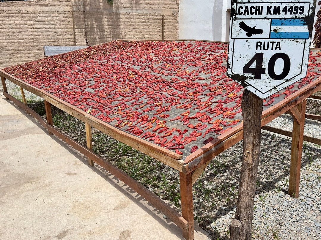 Cachi-卡奇必去景点