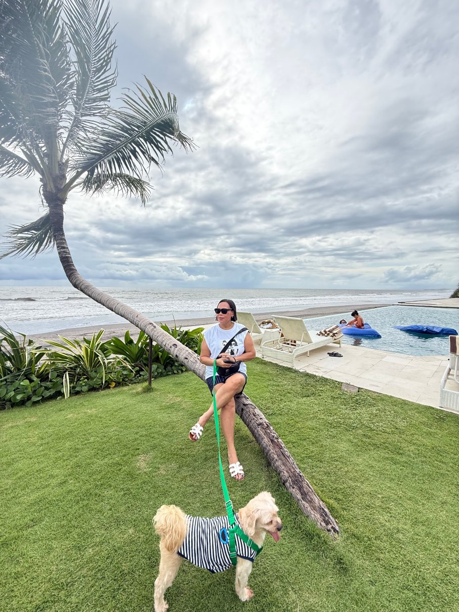 巴厘岛海滩豪华营舍-官方