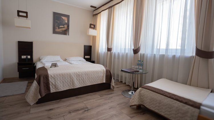 博罗维茨基酒店-客卧