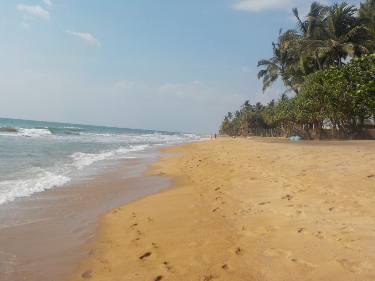 美人鱼酒店及俱乐部-泳池