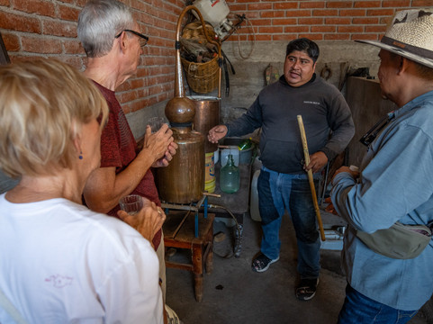 Oaxaca Experience Tours-瓦哈卡必去景点