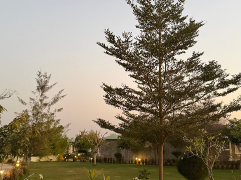 Trulyy the Jawai Leopard Kingdom A Luxury Resort主图