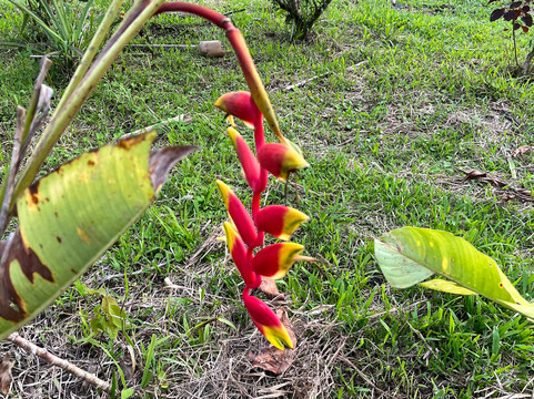 Adventure Journeys-基多必去景点