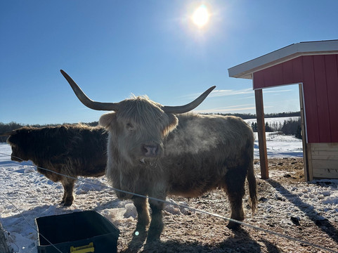 Island Hill Farm Inc-Hampshire必去景点