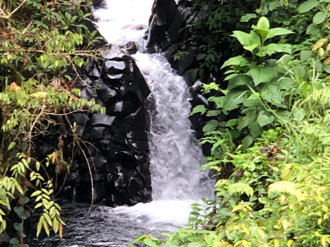 Retire in Panama Tours | Move to Panama | Panama Relocation Experts-波魁特必去景点