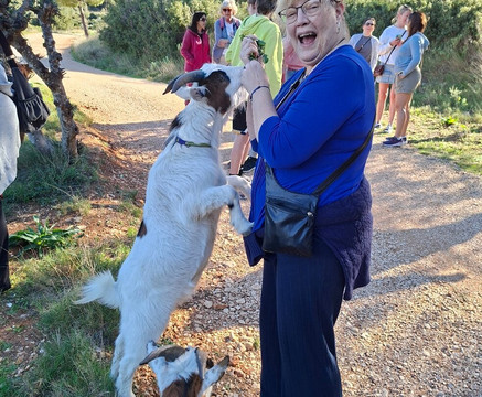 Euro Goat Trekkers-Tarbena必去景点