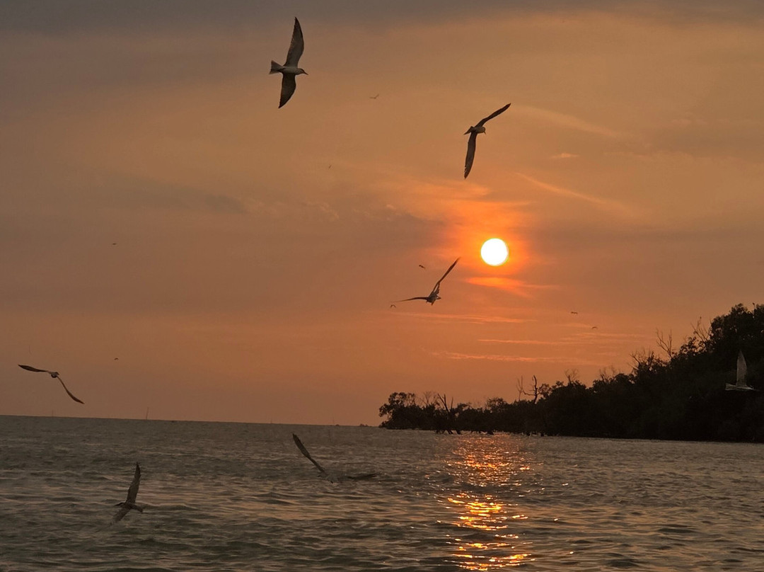 Gowithanthony-万挠必去景点