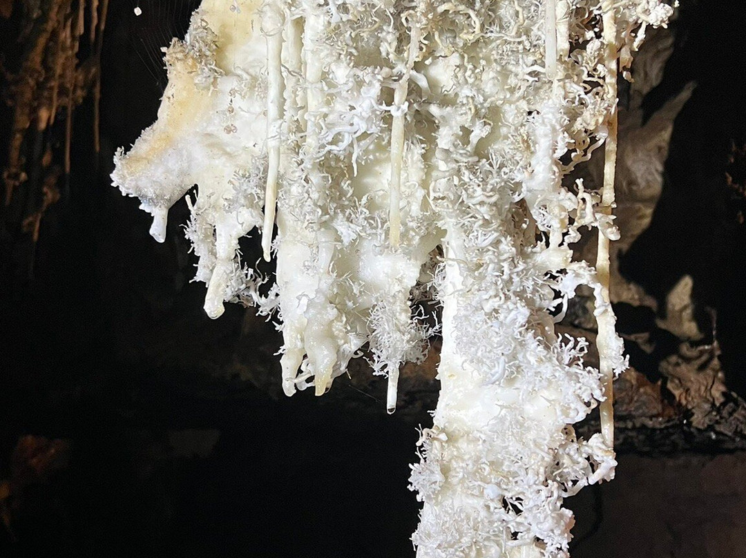 Caverna Sao Mateus-Sao Domingos必去景点