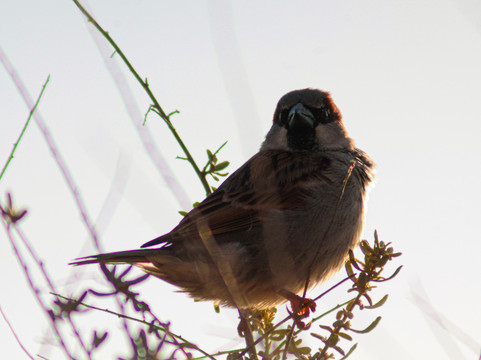 默塞德国家野生动物保护区-默塞德必去景点