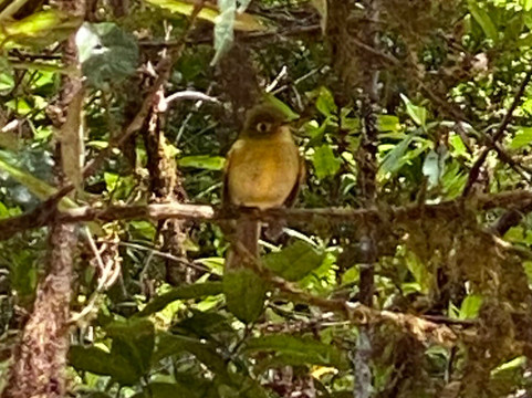 Highland Birds Tours-多塔圣赫拉多必去景点