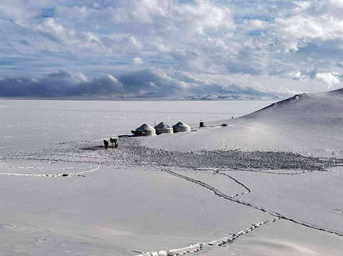 Horse Travel Company