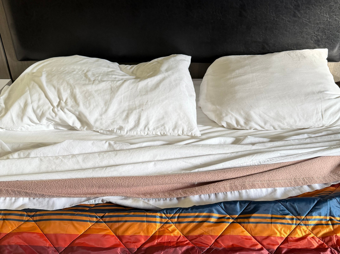 Lavissh Inn & Suites