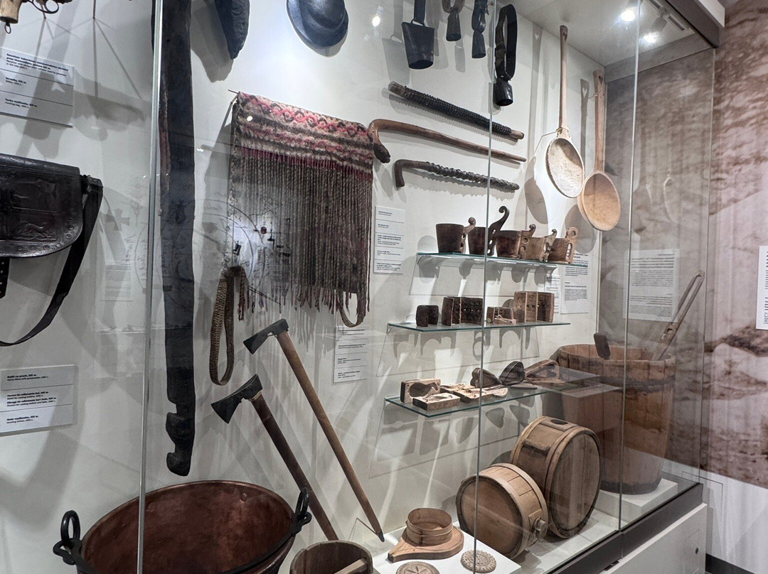 Muzeum Tatrzańskie im. Dra Tytusa Chałubińskiego-扎科帕内必去景点