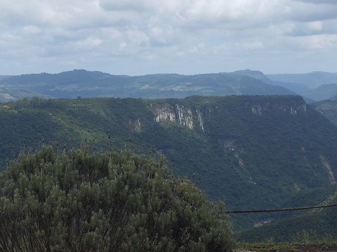 Parque Olivas de Gramado-格拉玛多必去景点