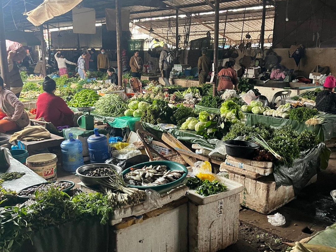 Phou Iu Travel & Ecotourism-琅南塔必去景点