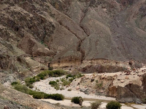 Jordan Trail Adventures-佩特拉必去景点