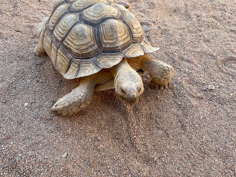 Hurghada Grand Aquarium-赫尔格达必去景点