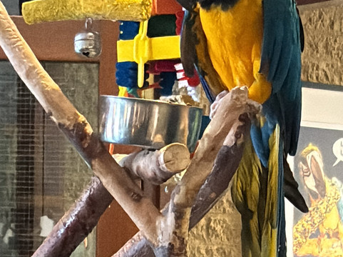 卡兰茨奥赫弗莱彻酒店主图