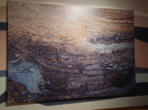 Fries Museum-吕伐登必去景点